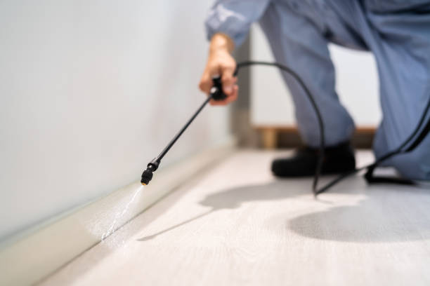 Licensed Termite Control service in Milledgeville, GA - Nex Pest Control