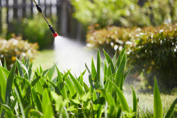 24/7 Emergency Termite Control experts in Milledgeville, GA