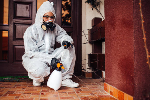 Reliable Termite Control contractor in Milledgeville, GA by Nex Pest Control