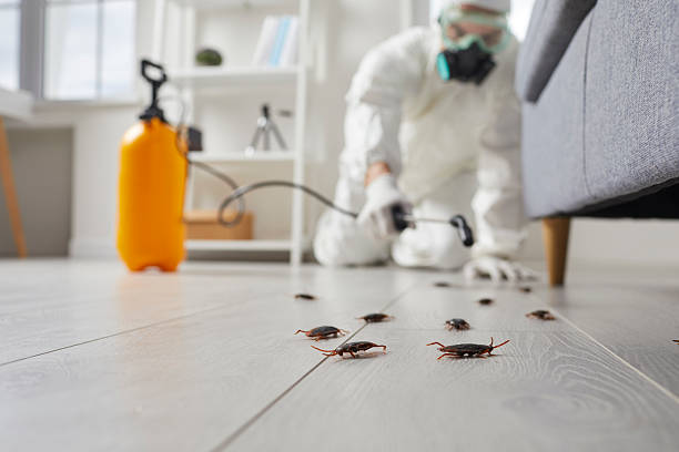 Trusted Termite Control service in Milledgeville, GA - Nex Pest Control